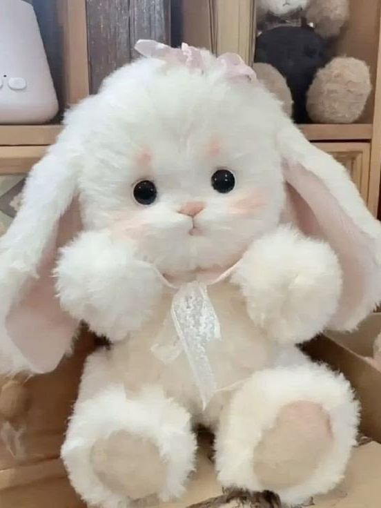 bunny